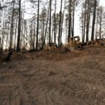 Salvage logging
